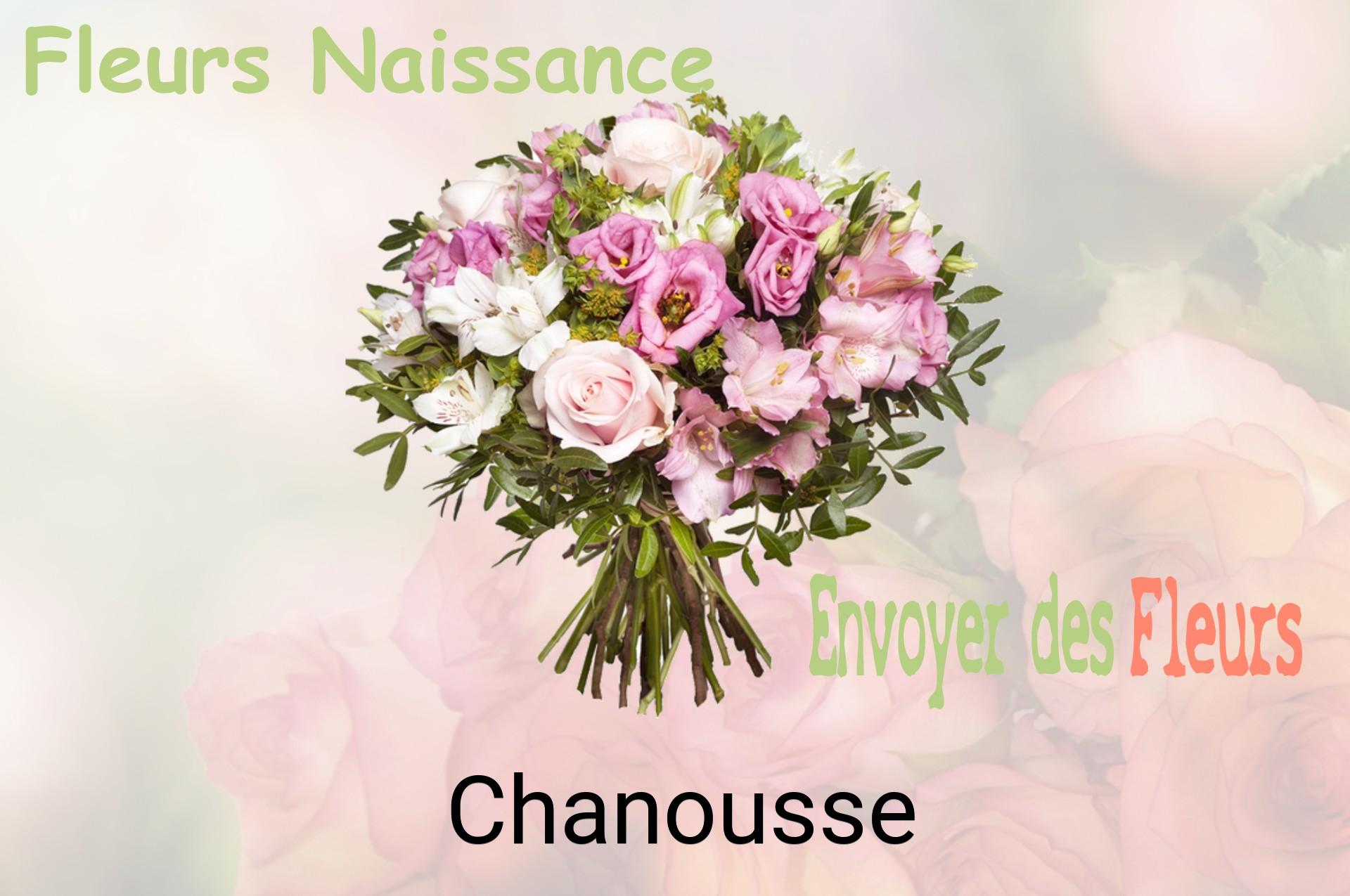 Bouquet de fleurs de naissance livré à Chanousse