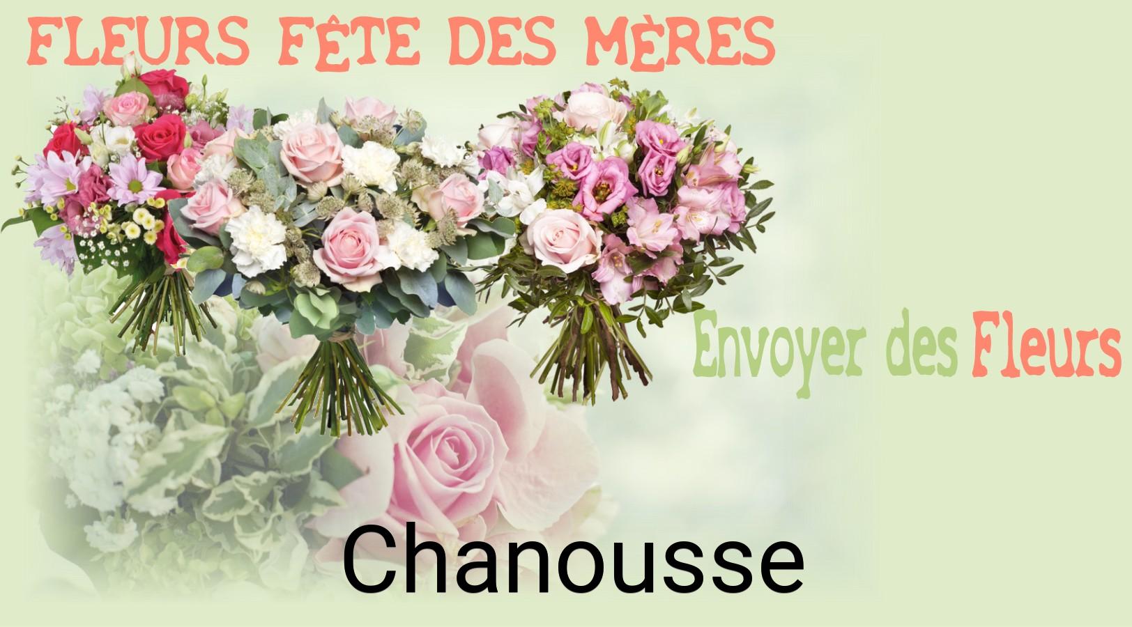 Bouquet de Fête des Mères livré à Chanousse